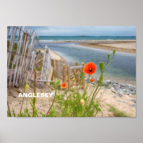 Anglesey Wales Scenic View Beach And Wild Poppies Poster