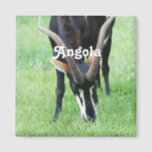 Angola Sable Antelope Magnet