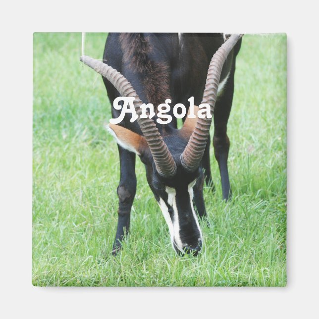 Angola Sable Antelope Magnet (Front)