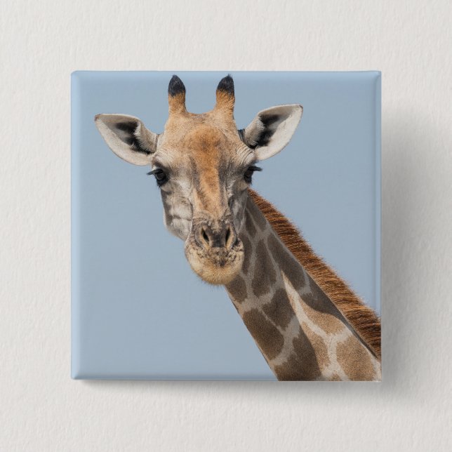 Angolan Giraffe Portrait Button (Front)