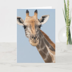 Angolan Giraffe Portrait Card