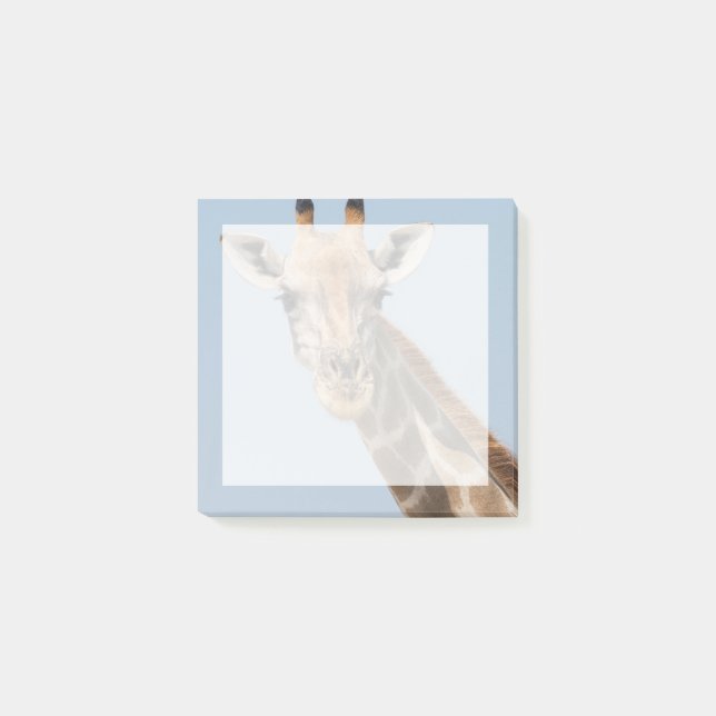 Angolan Giraffe Portrait Post-it Notes (Front)