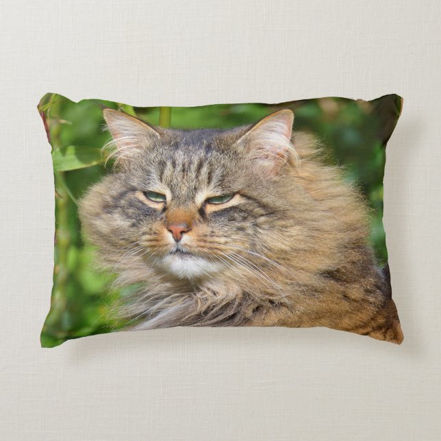 Angora cat accent pillow (Front)