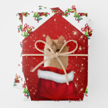Angora Cat Christmas 