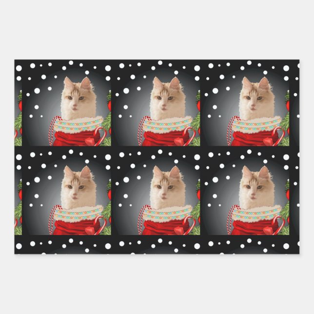 Angora Cat Holiday  Wrapping Paper Sheets (Front 3)