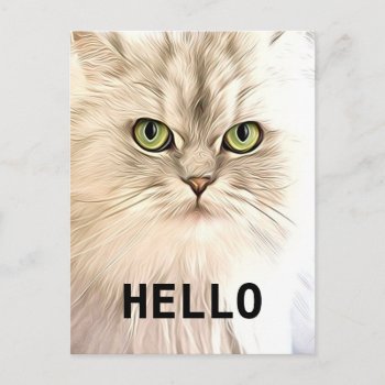 Angora Cat Postcard by NatureTales at Zazzle