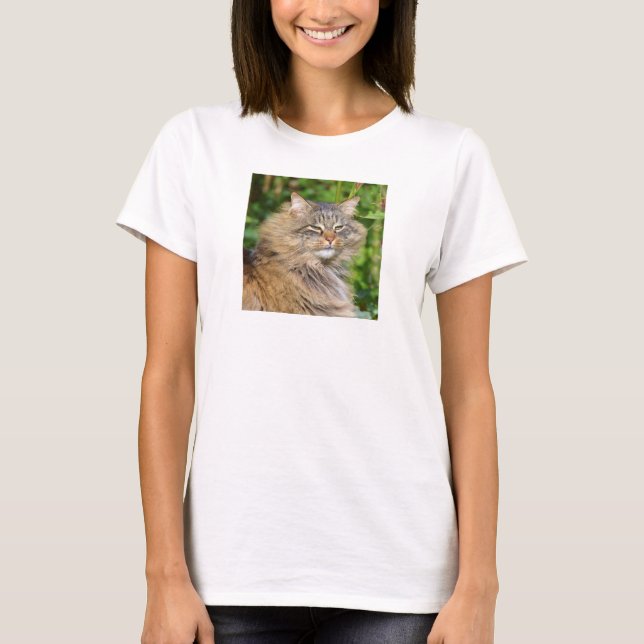 Angora cat T-Shirt (Front)