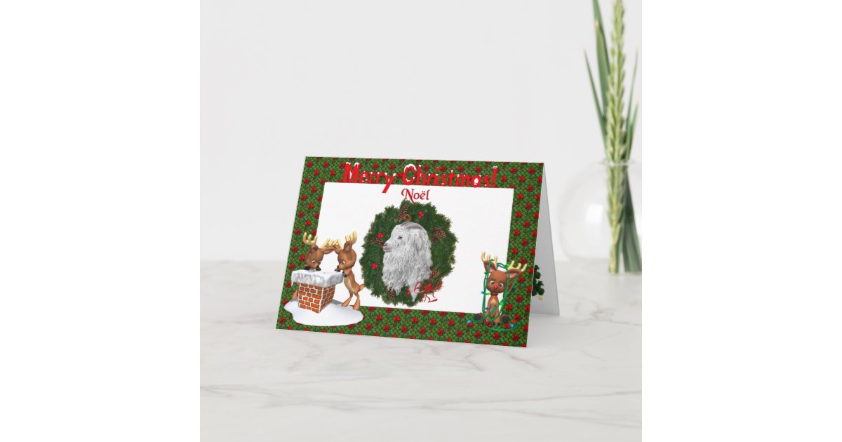 Angora Goat Christmas Card | Zazzle