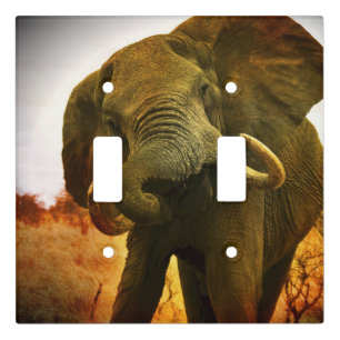 Angry African Elephant Double Light Switch Plate