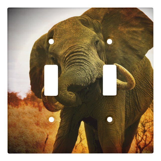 Angry African Elephant Double Light Switch Plate (Front)