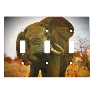 Angry African Elephant Triple Light Switch Plate