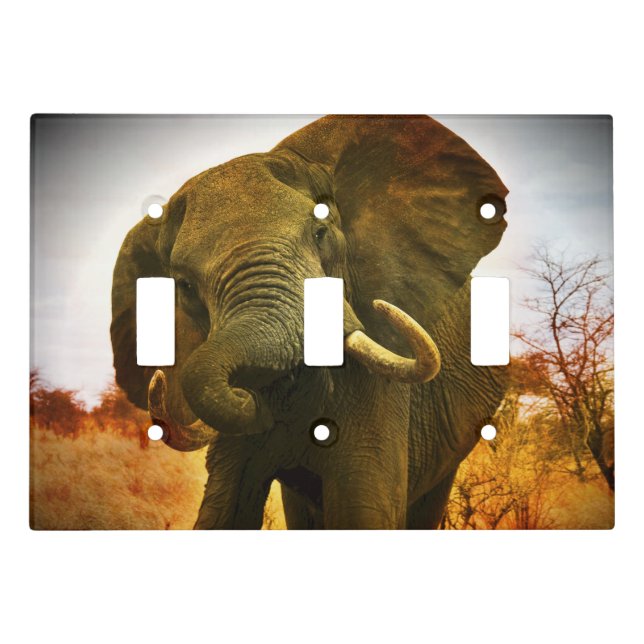 Angry African Elephant Triple Light Switch Plate (Front)