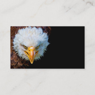 Angry american bald eagle business card