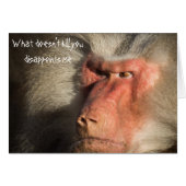 Angry Baboon Monkey What Doesn't Kill You Cards (Front Horizontal)