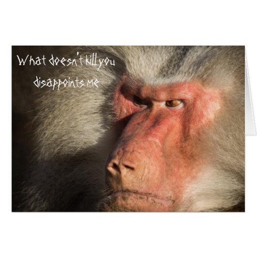 Angry Baboon Monkey What Doesn't Kill  You Cards (Front Horizontal)