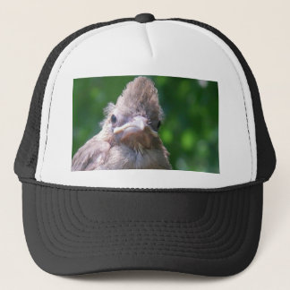 angry baby bird trucker hat