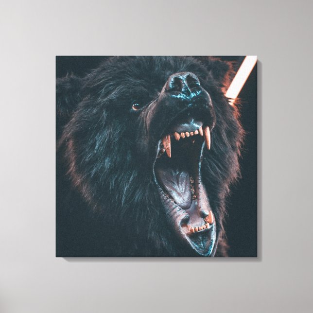 Angry Bear Teeth Black Bear Growl Canvas Print (Front)