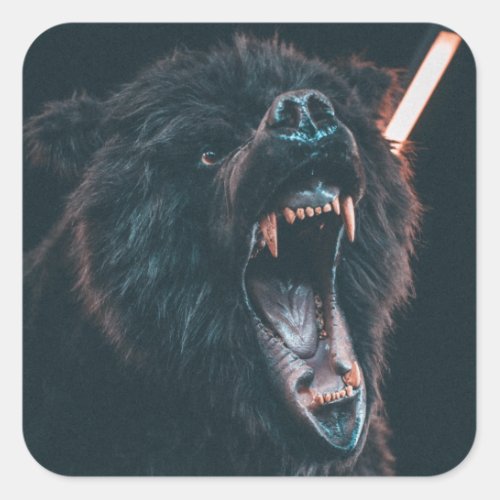 Angry Bear Teeth Black Bear Growl Square Sticker