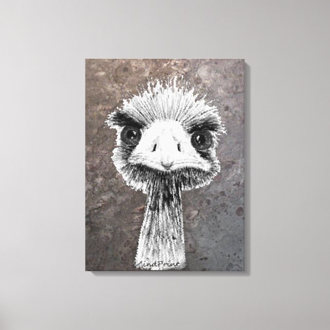 Angry Bird Canvas Print (Front)