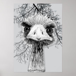 Angry Bird Poster