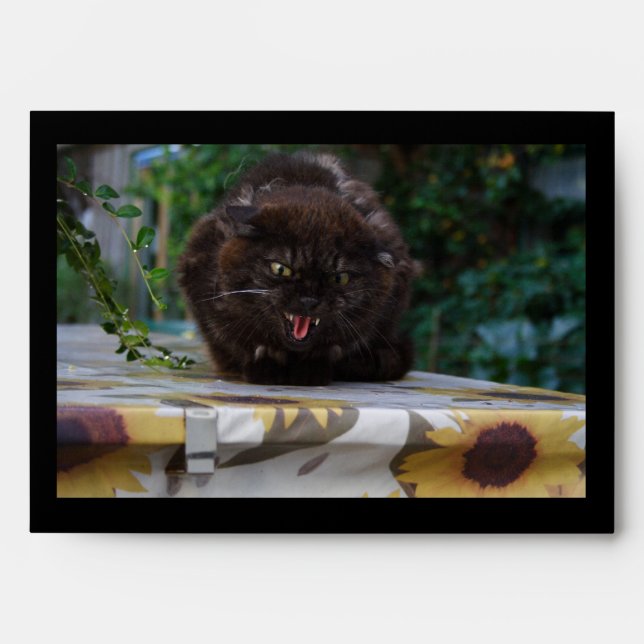 Angry Black Cat Envelope (Front)