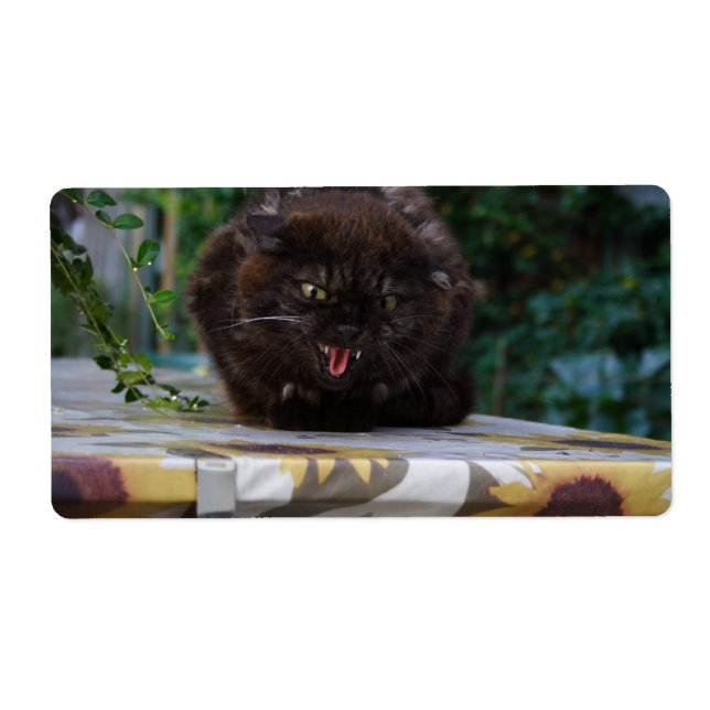 Angry Black Cat Label (Front)