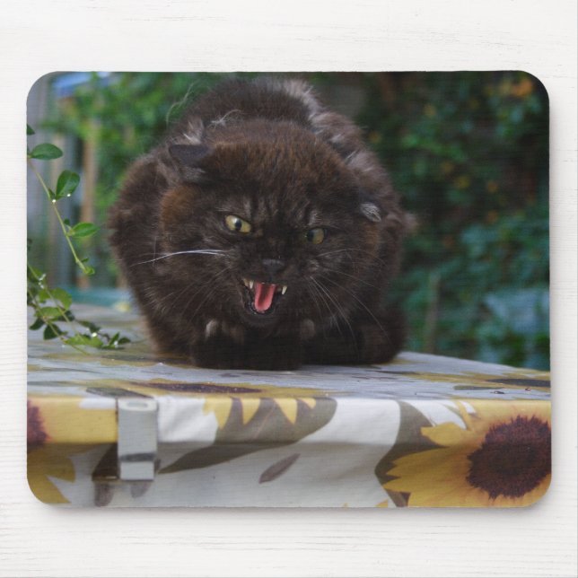 Angry Black Cat Mouse Pad (Front)
