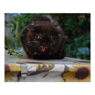 Angry Black Cat Poster