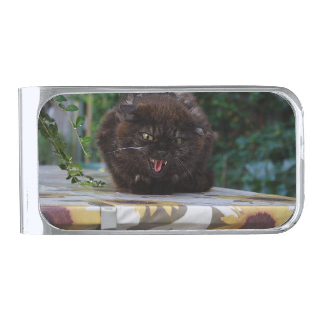 Angry Black Cat Silver Finish Money Clip (Front)