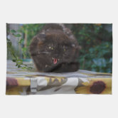 Cats on Countertops - Funny Kitchen Towel