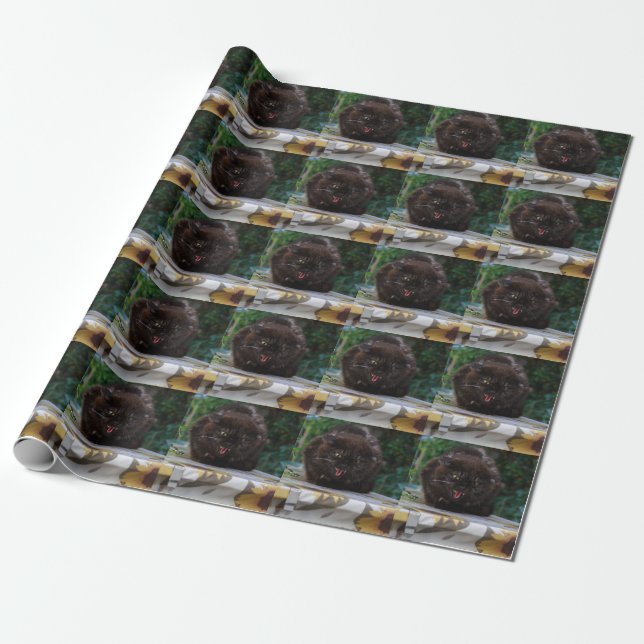Angry Black Cat Wrapping Paper (Unrolled)