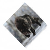 Angry black wolf bandana | Zazzle