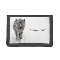 Angry Black Wolf in the Snow , wild Winter