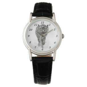 Angry Black Wolf in the Snow , wild Winter Watch