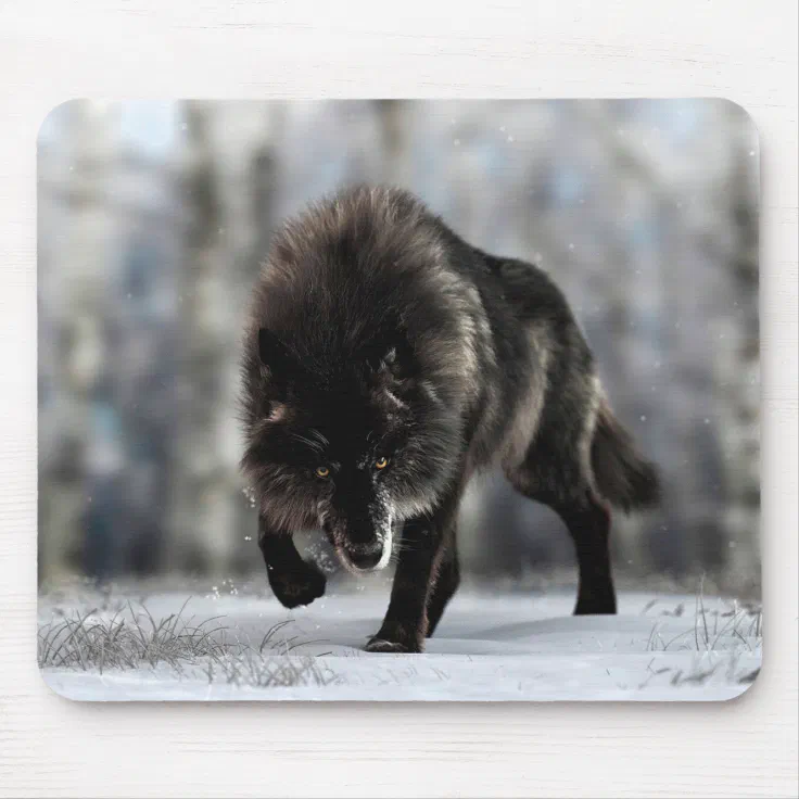 baby insanity wolf no text