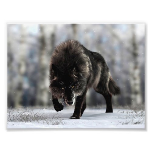 Angry black wolf photo print