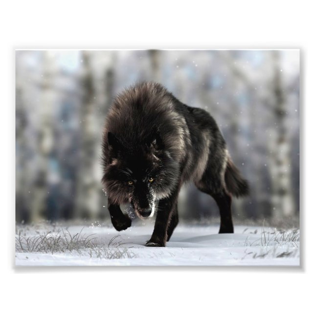 Angry black wolf photo print (Front)