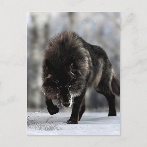 Angry black wolf postcard