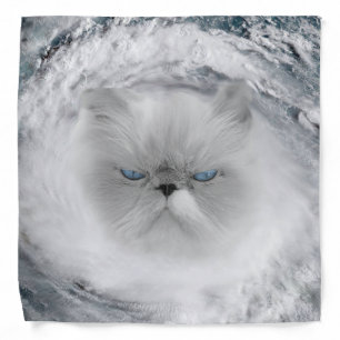 Angry Cat 5 Hurricane Bandana