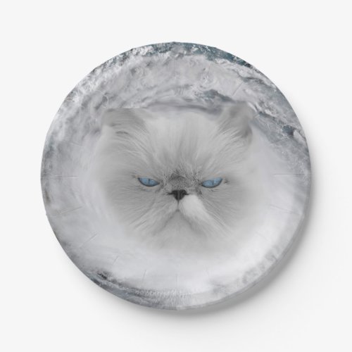 Angry Cat 5 Hurricane Paper Plates