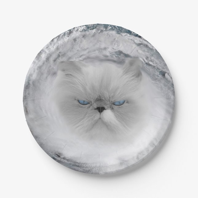 Angry Cat 5 Hurricane Paper Plates (Front)
