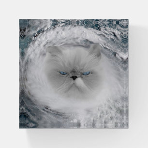 Angry Cat 5 Hurricane Paperweight