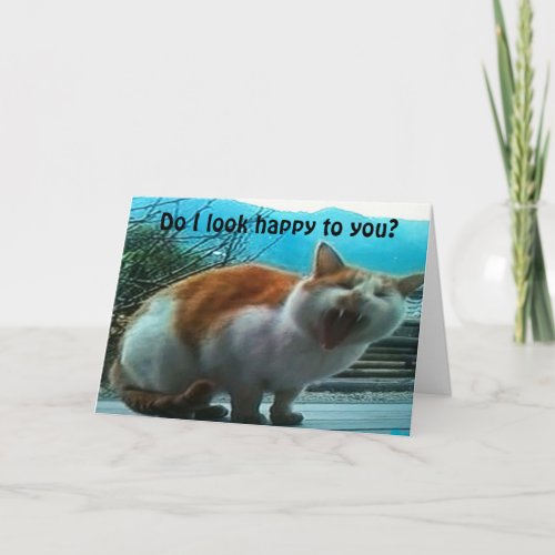 ANGRY CAT GETS POINT ACROSS_ I MISS YOU CARD