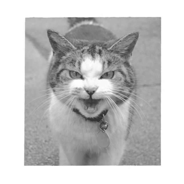 Angry Cat Notepad (Front)