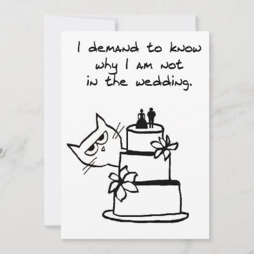 Angry Cat wants to be part of the Wedding