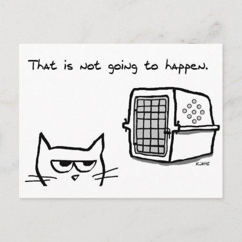 Angry Cat will NOT be going to the Vet Postcard