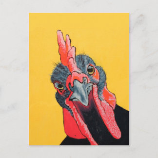 Angry chicken in yellow postcard