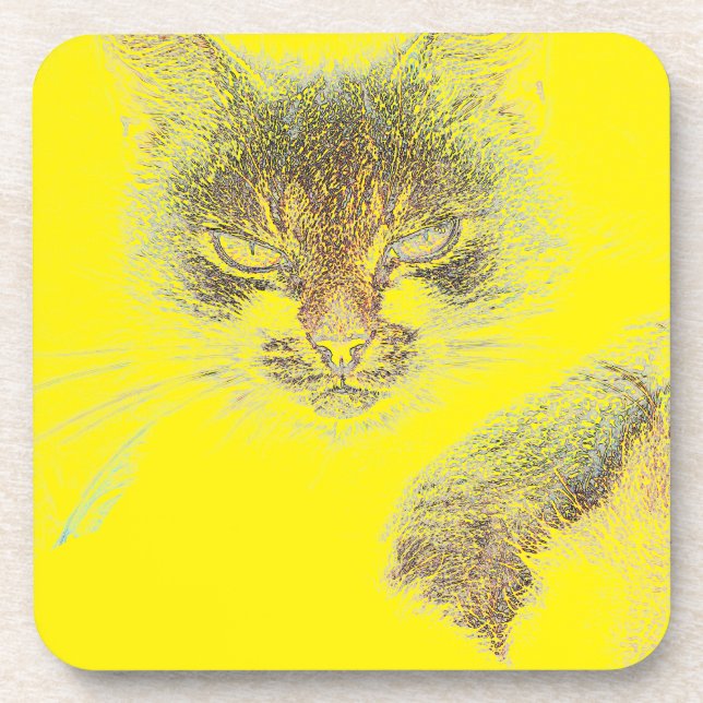 Angry Cute Cate Face Sketch Beverage Coaster (Front)
