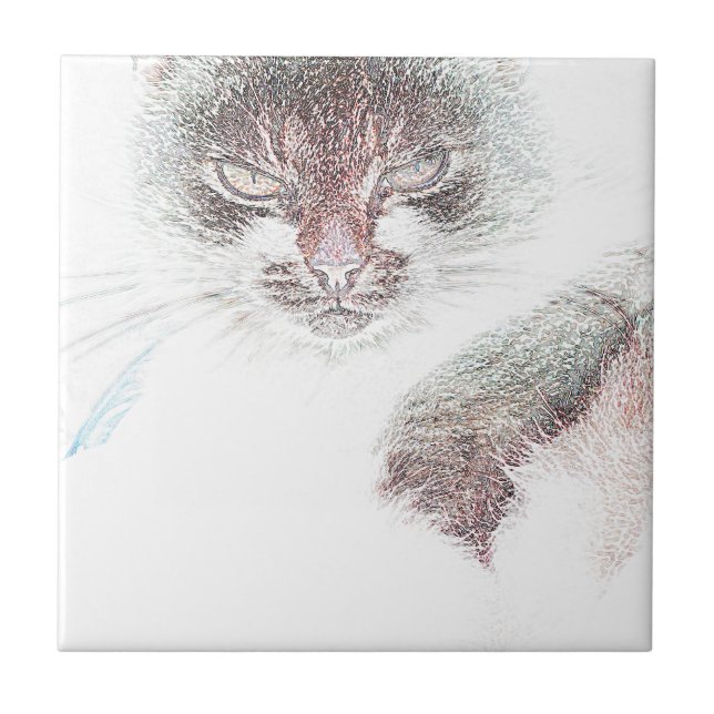 Angry Cute Cate Face Sketch Ceramic Tile (Front)