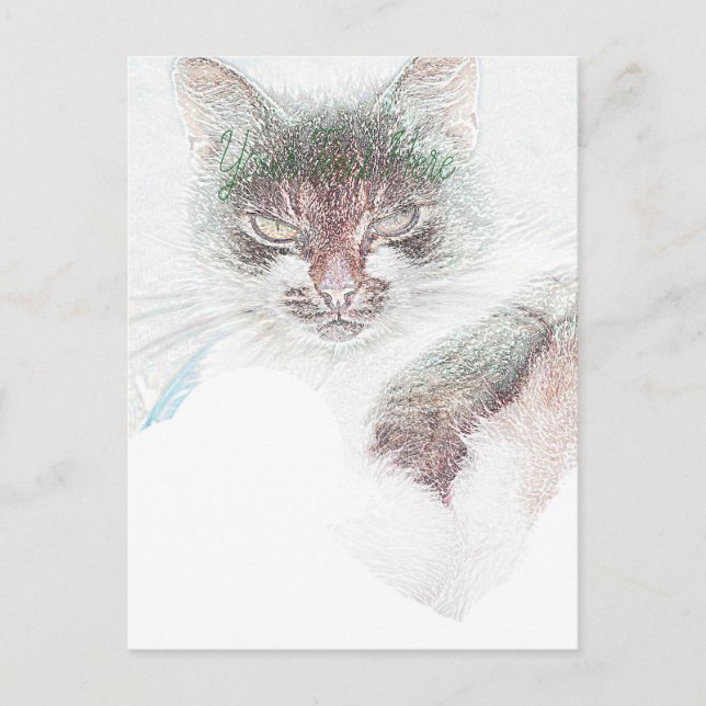 Angry Cute Cate Face Sketch Postcard (Front)